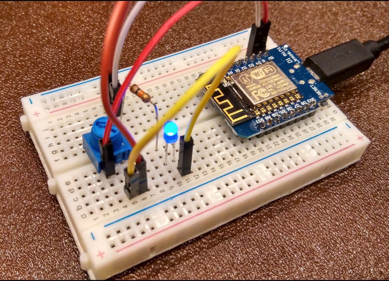 Trimpot and Switches (6)